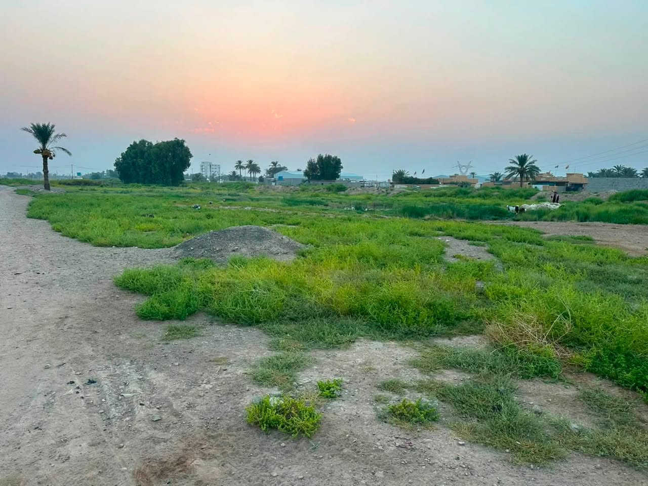 🏡 للبيع ٤ دونم أرض
📍 الموقع: الحسينية – الراشدية – مسقط، نهاية شارع الشركة، خلف معمل الثلج.

📜 طابو صرف – طابو زهور – سند ٢٥
✅ فرصة مناسبة للاستثمار والسكن

📞 للاستفسار:
***********
