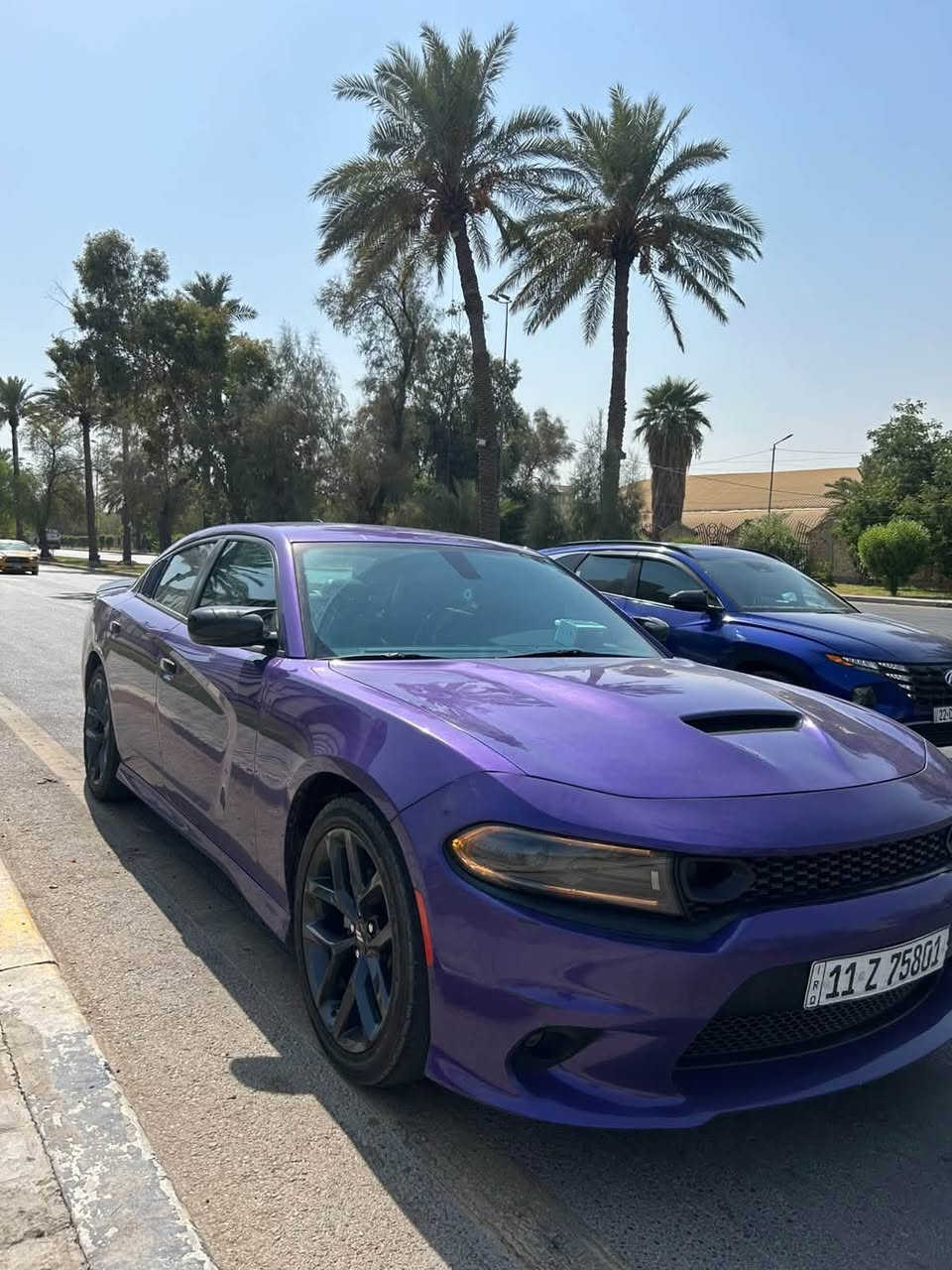 السلام عليكم جارجر 23 GTبنفسيجه لون مميز

رقم بغداد بسمي

حادث دعاميه مبدله فقط تكحيل بل البنيد الدعاميه البلاديه

 عندي بدون ايرباك بدون ايرباك شاصي كفله كل السياره

ماشيه 50 فقط استخدام شخصي 

السعر 255$ 

*********** واتساب فقط او مراسله الصفحه
