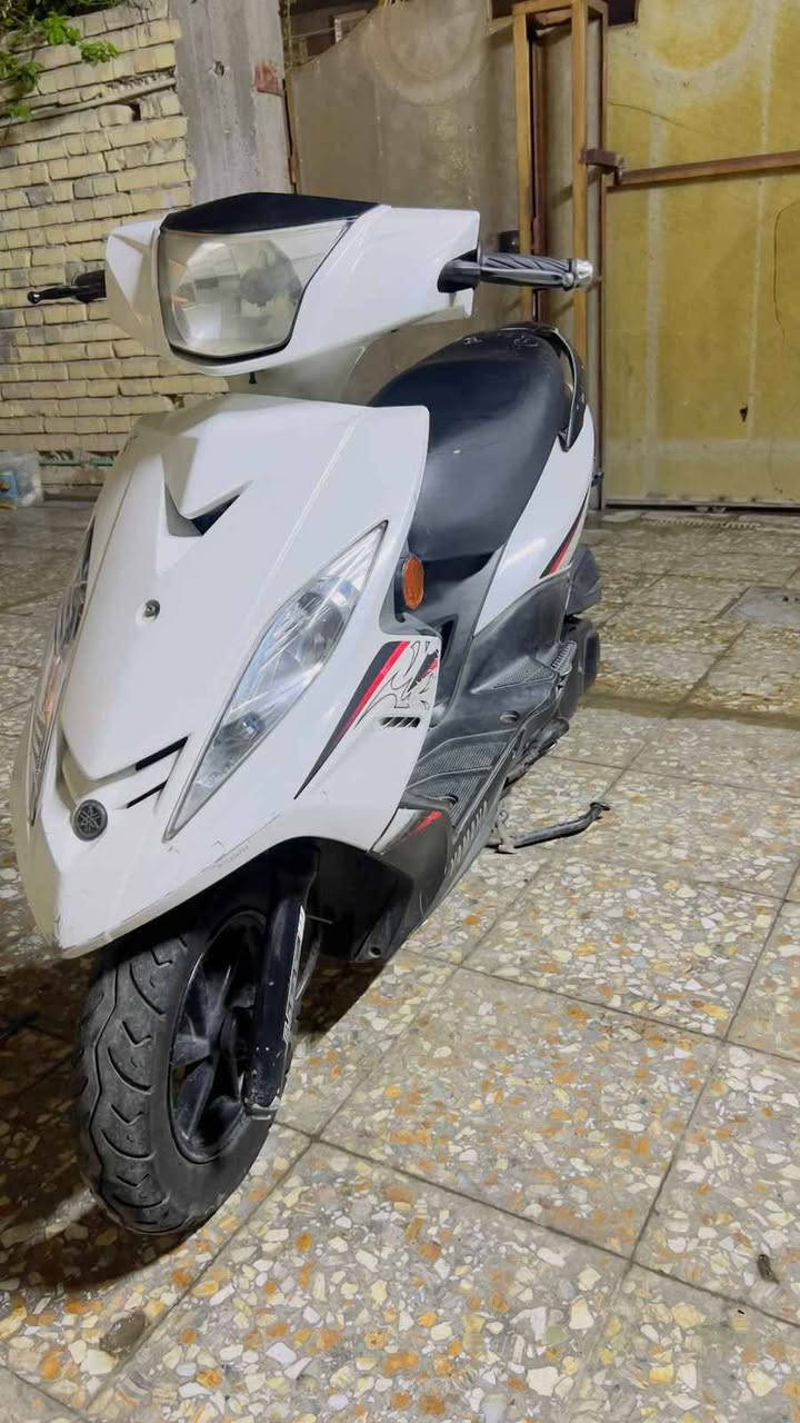 رمبه • مكفوله • مسجل