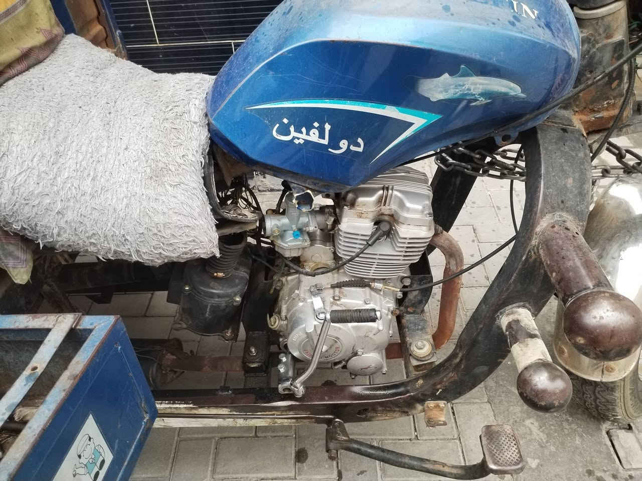 دولفين للبيع اوراق كاملة مابيهة نقص للبيع 950 بيهة مجال مصيط رقم *********** موجود واتساب موجود خاص  الستوتة للبيع
أدمن وافق يعطيك العافيه
