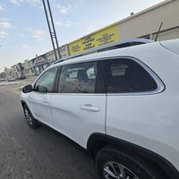 لاتيوتيد • ٢٠١٩ • متضررة