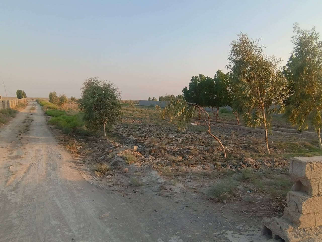 دونم زراعية • شط مباشر • الحولي