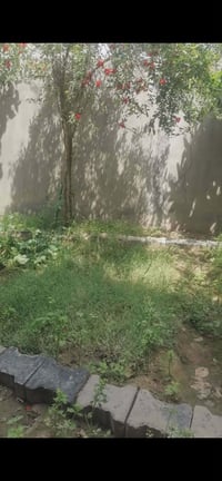 طابو زراعي • ٢٤٠م • بناء جديد ٢٠٢٥