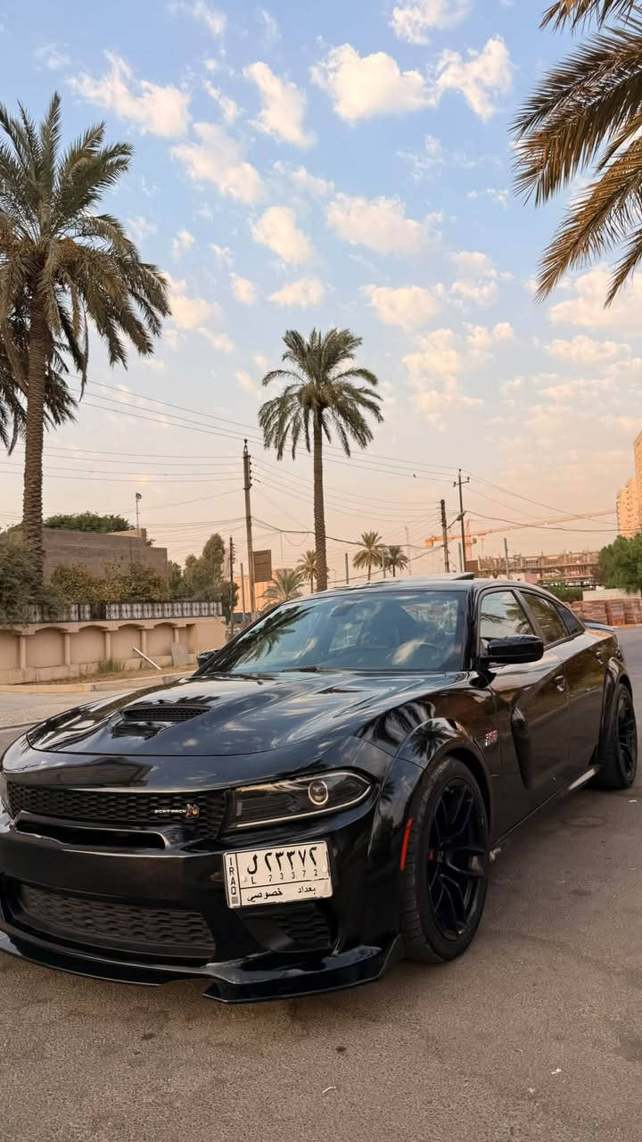 للبيع جارجر سكات باك وايد بدي اصل 392 🚀
موديل 2022 كلين تايتل بدون حادث و إيرباك 🔥
الجاملغ و الويل البلادي و الدعامية نفسه مشدود
مكينة v8 / 6.4L
الممشى / 38 الف ميل حقيقي
السيارة بأسم مالك واحد من الأستيراد لهذا يومنه 
لا نازلة استعراض و لا تفحيط 
فوول مواصفات كلشي بيها بلادي 
كير مكينة ايرباك شاصي لغد تبديل صبغ حدادية اكسل كلهن كفالة
على وضع الشركة 
عدا الاكزوز تفريغ كامل و سستم اكزوز يم علي الوادي
و طلقات صوتها رررعب 
لايتات اورايگل
و لا گلوب  مشتغل بالدشبول السيارة على وضع البلاد 
تجي و تشوف بعينك
المواصفات :
١- فتحة سقف 
٢- كشنات كنتارا و جلد حضن مختم سكات 
٣- تدفئة و تبريد كشنات امامية و خلفية تدفئة
٤- ميموري سيت و ترحيب ستيرن و كشن 
٥- لانج كونترول و وضعيات قيادة 
٦- سستم صوت الباين 
بعد هواي مواصفات معروف الفول مال جارجر 

السيارة جاهزة من مل النواحي 
سعر السيارة / 299 ورقة و بيها مجال للشراي 
مكاني بغداد  / السيدية
*********** محمد عرب
