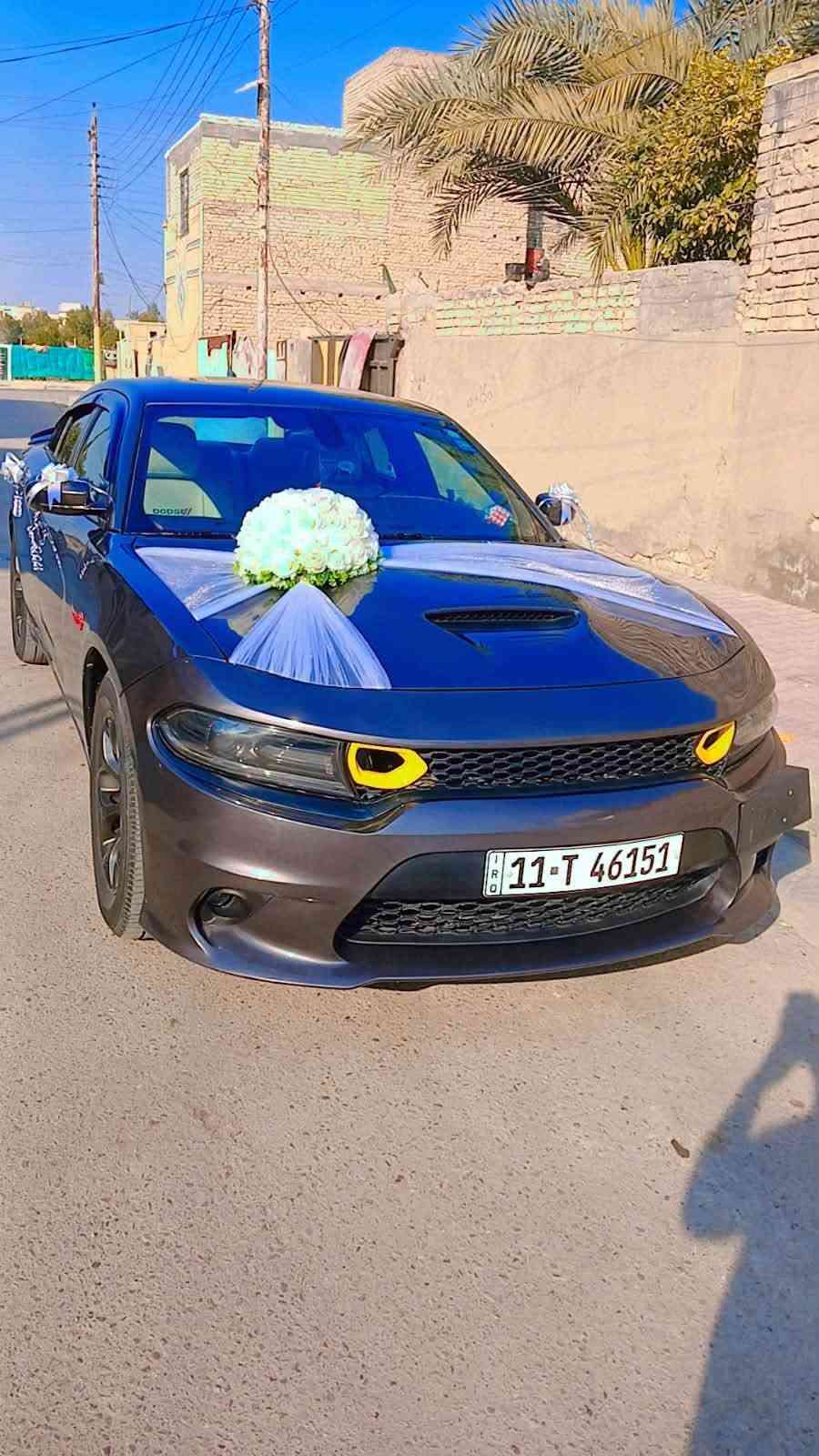 جارجر ٢٠١٦كير مكينة حدادية مكفولات تخم تاير جديد السيارة حادثها جاملغ خلفي فقط بدون دواخل بس السيارة صبغتهة حزام اثر شخوط وجراد جمالية فقط الله شاهد السعر ١٦٠ وبيهة مجال حك الجية مكان السيارة بغداد الحسينية مال راشدية رقم تلفون ***********
