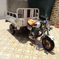 ستوته • ٢٠١٩ • اوراق وكيل