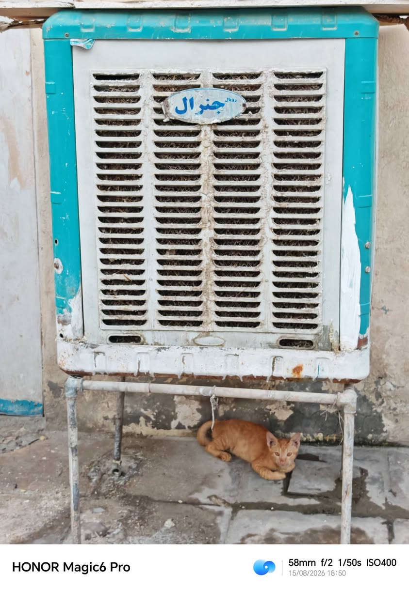 السلام عليكم  
مكلف بل نشر
غراض للبيع
المبرده /75 الف وبيها مجال 
الجادر / 90  الف وبي مجال جديد مامستخدم 
العارضه /125 الف وبيها مجال
ميز بلازما /40 الف وبي مجال
العنوان المحاويل حي الجمهوري الاتصال 
***********
***********
