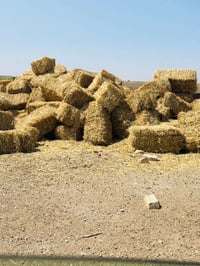 تبن • للبيع • متر