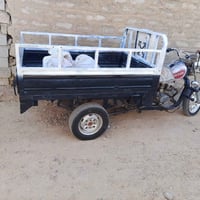 اكسن صقر • مديل ٢٠١٤ • مكسنه