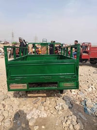 ستوتة • شاصي مكفول • ميسان كحلاء