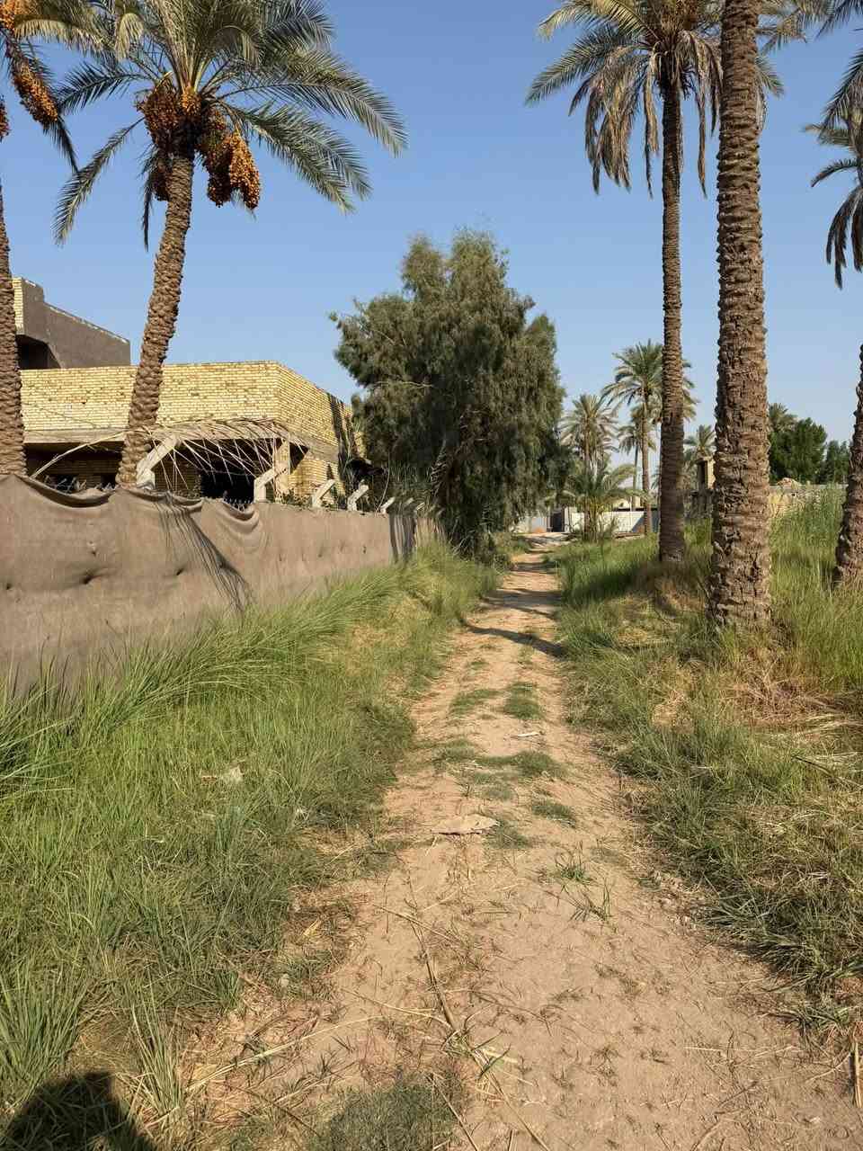 قطعه ارض للبيع العنوان كربلاء طويريج خلف البانزين خانه مال ابو جوعانه سند ٢٥  المساحه ١٣٤٠متر (واجهيه٢٠م*نزال٦٧م) للأستفسار الاتصال على الرقم التالي *********** رجاً الموشراي لايتعبني
