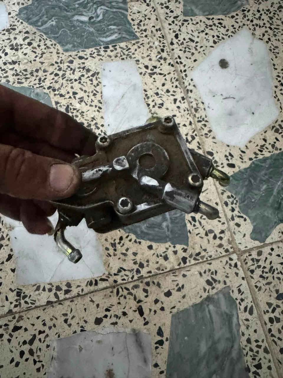 السلام عليكم غراض سكنس من ضمن الغراض المكينه  وظفيرة مع عقل كابريتر للبيع او مراوس بصالنصه رياضي سكنس فحل قيم بما يرضي الله للاستفسار *********** العنوان بغداد شهداء الثالثه مال العبيدي
