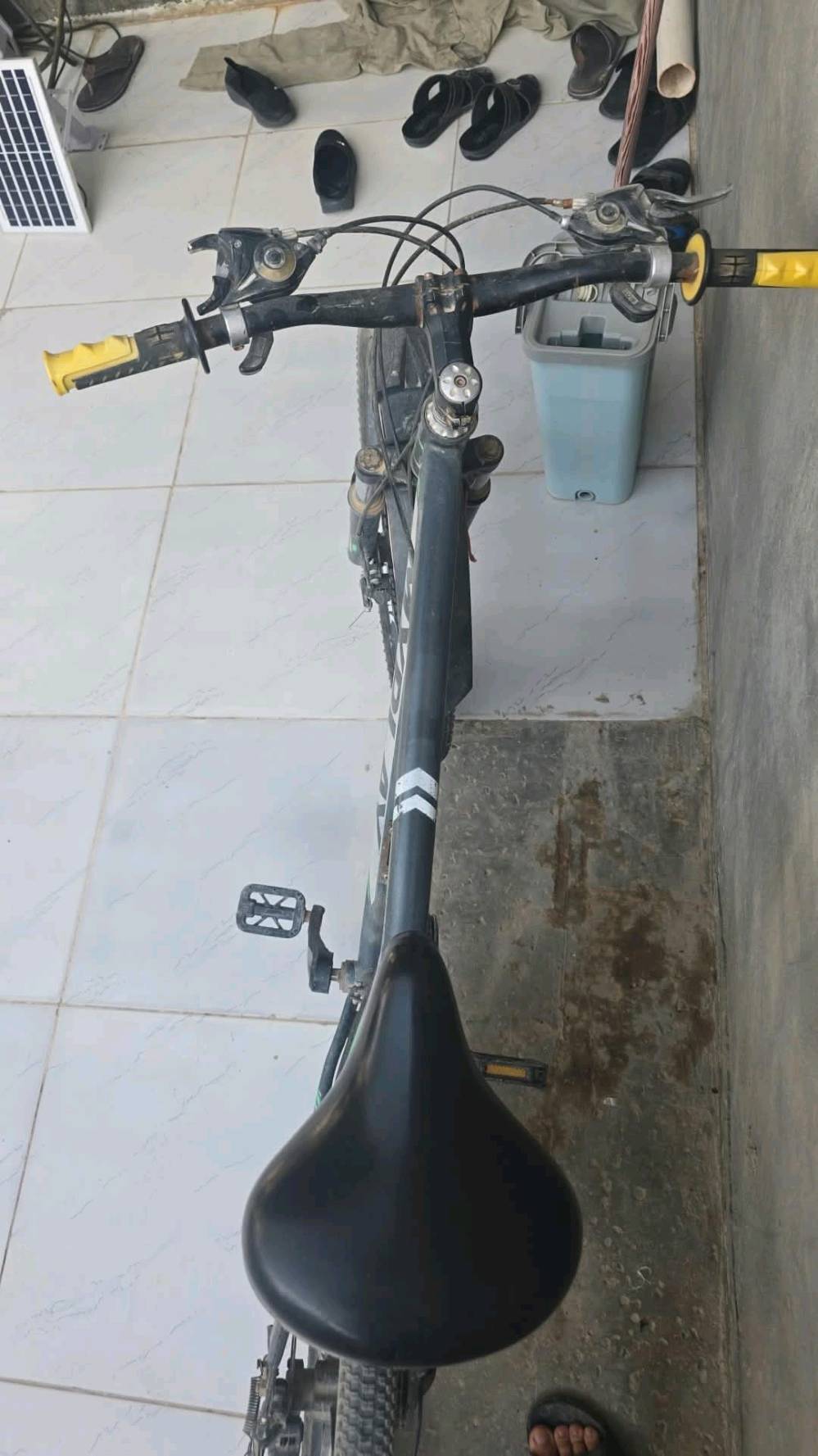باسكل • النجف