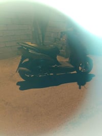 سكنس نثية • مكفولة • نضيفه