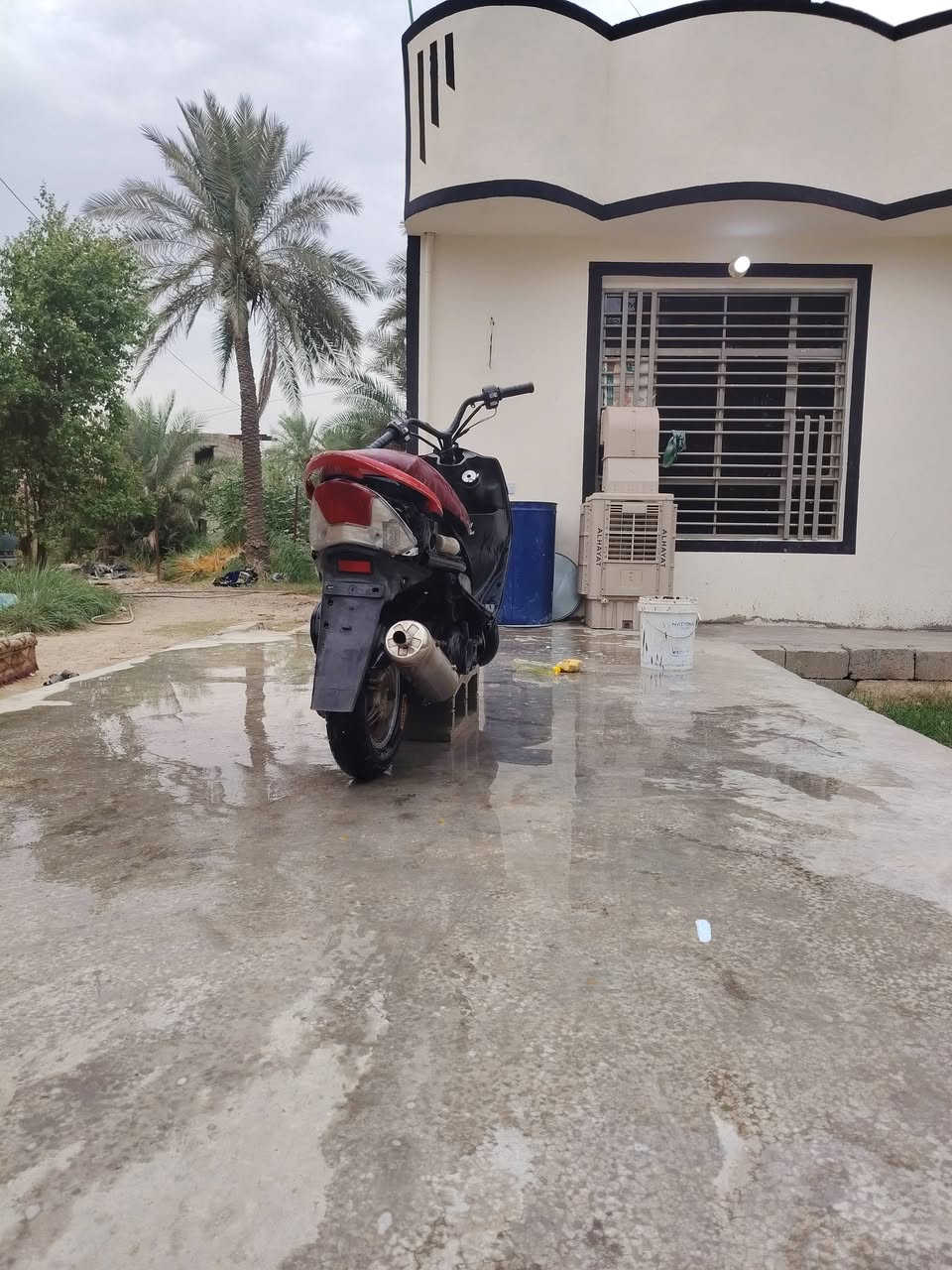 ماكس عدله • بيه مجال