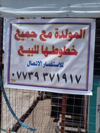 مولده • كمز ٢٥٠ • ٦٠٠ امبير