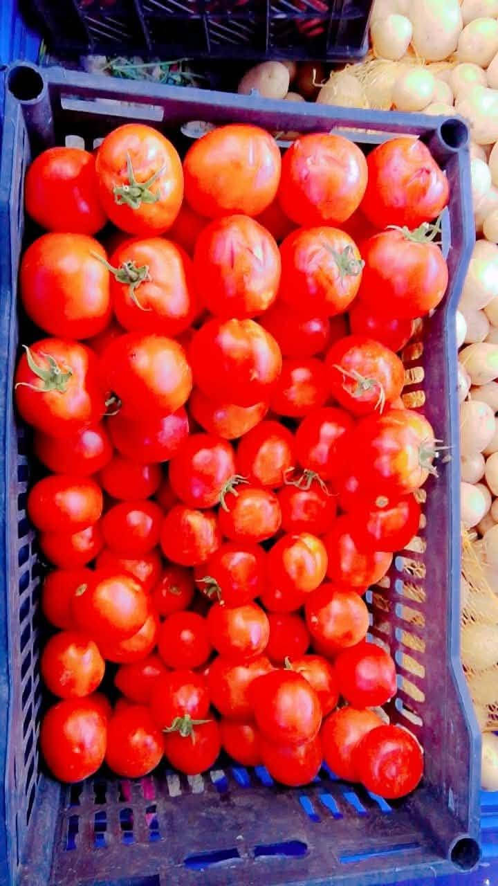 طماطه • بطاطا • تمر