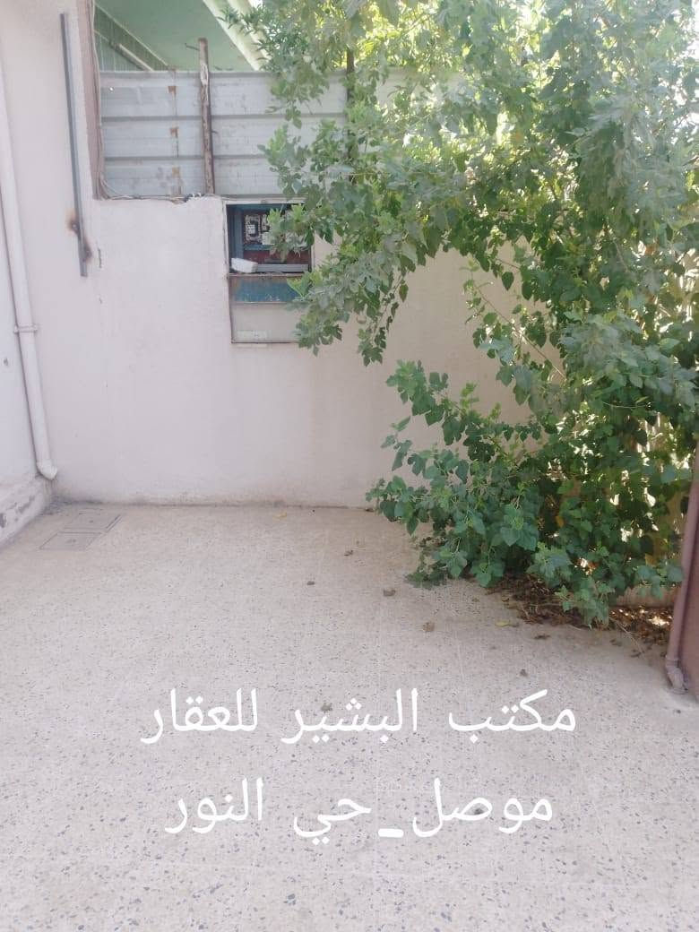 للبيع دار في الموصل حي الاعلام خلف مطعم بيت جدي قرب الحدائق ملك صرف طابو باسم الشرعي المساحه 85 متر واجهه 5 متر واقع حال 90 متر 
يتكون من غرفه ومطبخ وصحيات في الطابق الارضي 
وغرفتين في الطابق الثاني 
للاستفسار الاتصال على ارقام المكتب 
***********
*********** 
او مراجعة المكتب في الموصل حي النور سايدين دانيه ماركت قرب افران العائله مقابل صيدلية الكوثر ..
