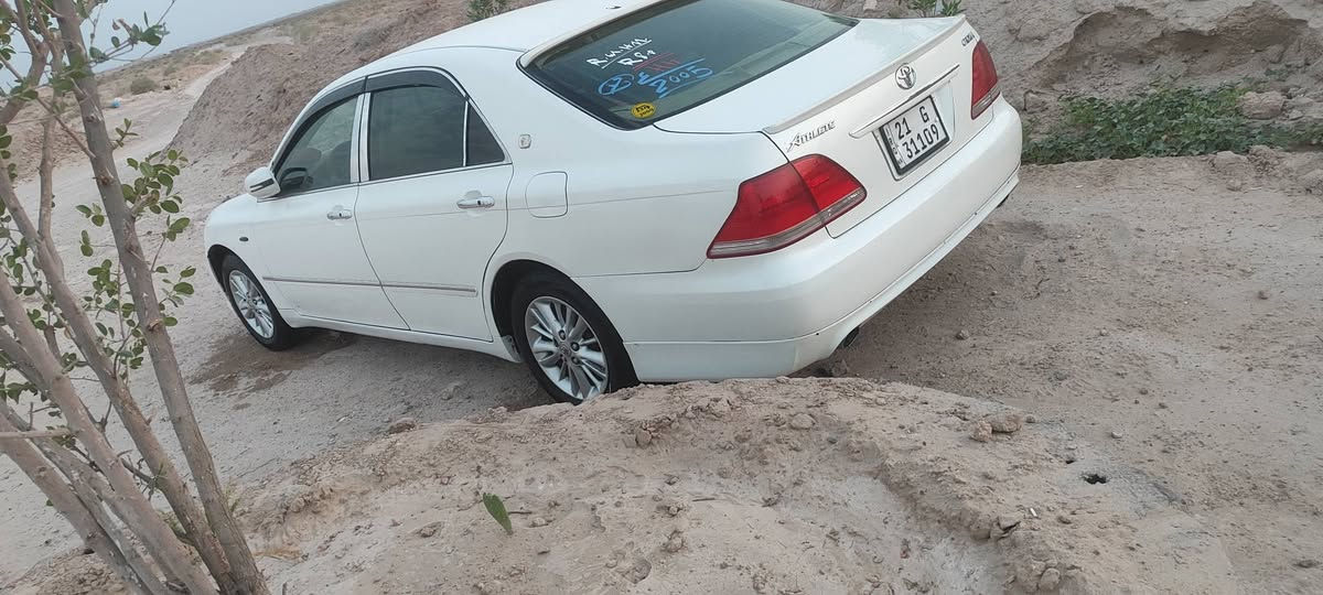 شاهينه • كشنات كهربائي • الدوانية