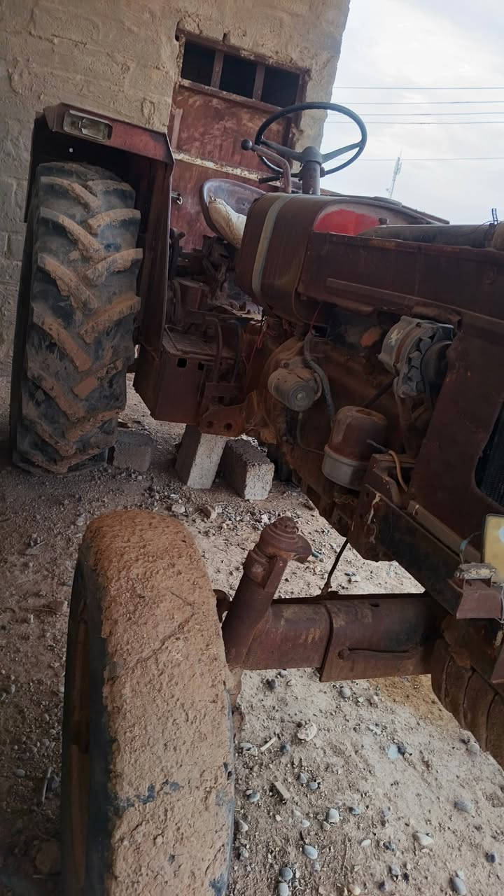 عنتر اللبيع اتصل‏‪***********‬‏

