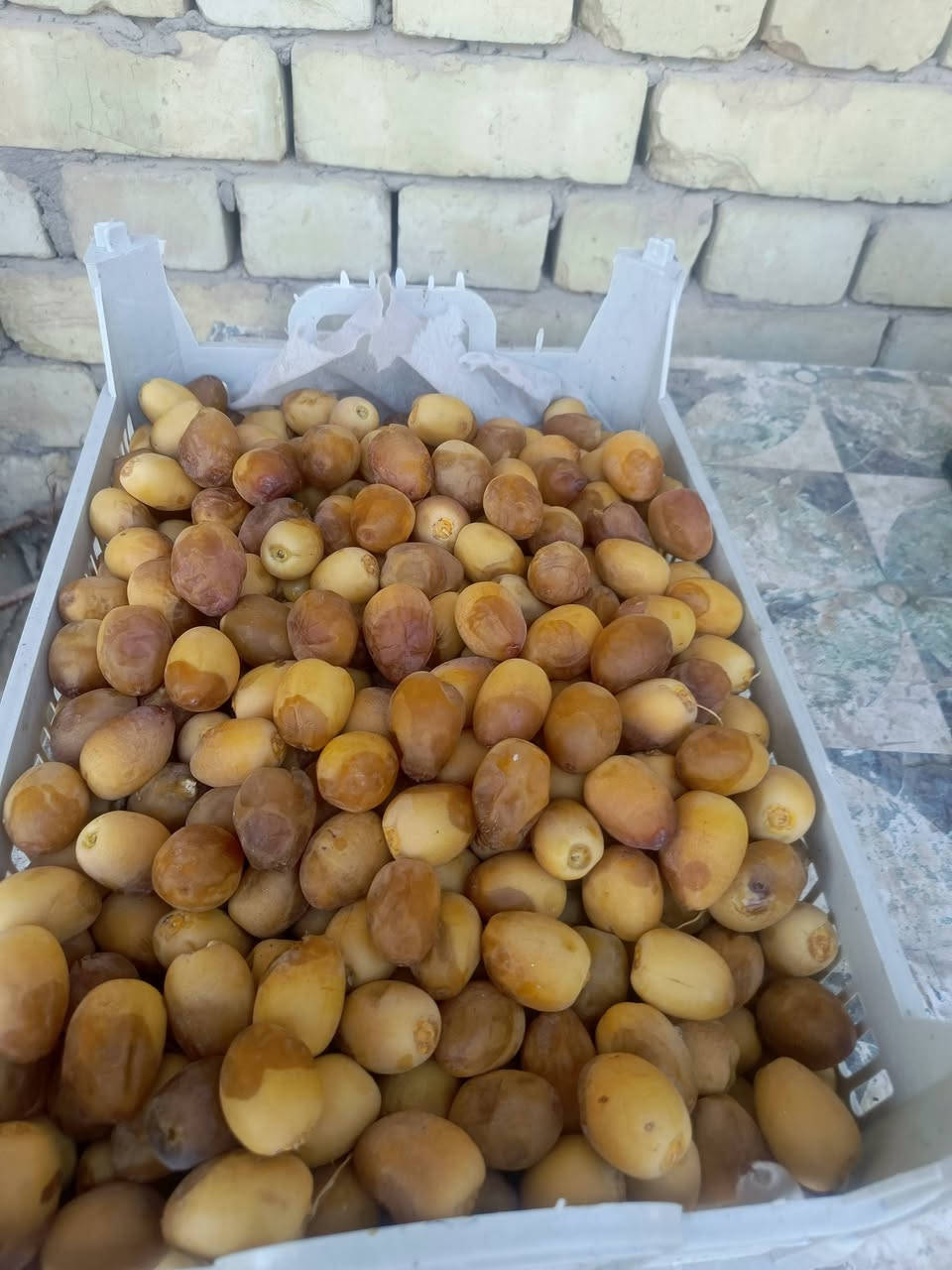 تمر برحي مباشر من البستان تجي تأخذ بيدك حسب الطلب 
اكو اعثوك اصفر 
النجف كوفه 
***********واتساب

