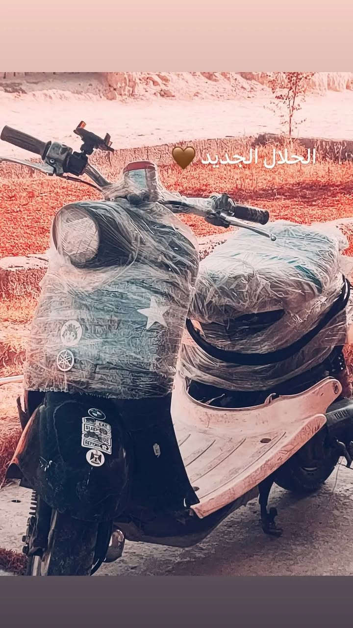 السلام عليكم
ذبانه للبيع 

السعر 70 وبي مجال 

الرقم ***********
