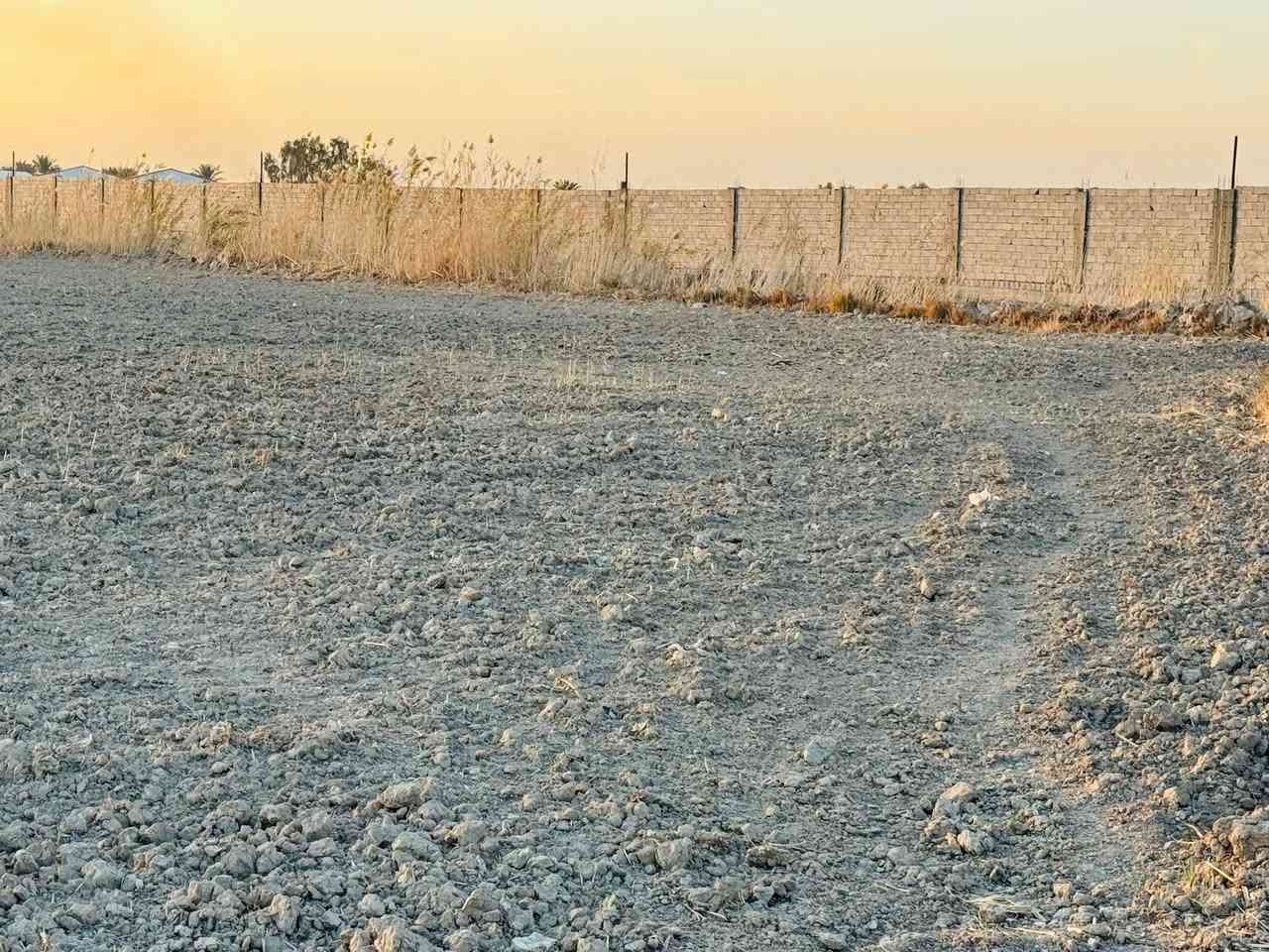أرض زراعية مساحة( 4 دونم )  ، عقد زراعي ١١٧ ( عبد الكريم قاسم ) .
، تقع في منطقة ام نعجة ، طريقها  عمود ٢٥٦ طريق نجف - كربلاء. او مفرق الكفل قرب سيد يحيى 
يتوفر فيها كافة الخدمات ( ماء سقي - ماء اسالة _ كهرباء )

للاستفسار خـــــــــــاص او اتصال  ***********

