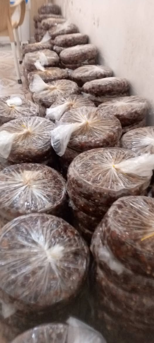 تمر • ٥كيلو • سنة