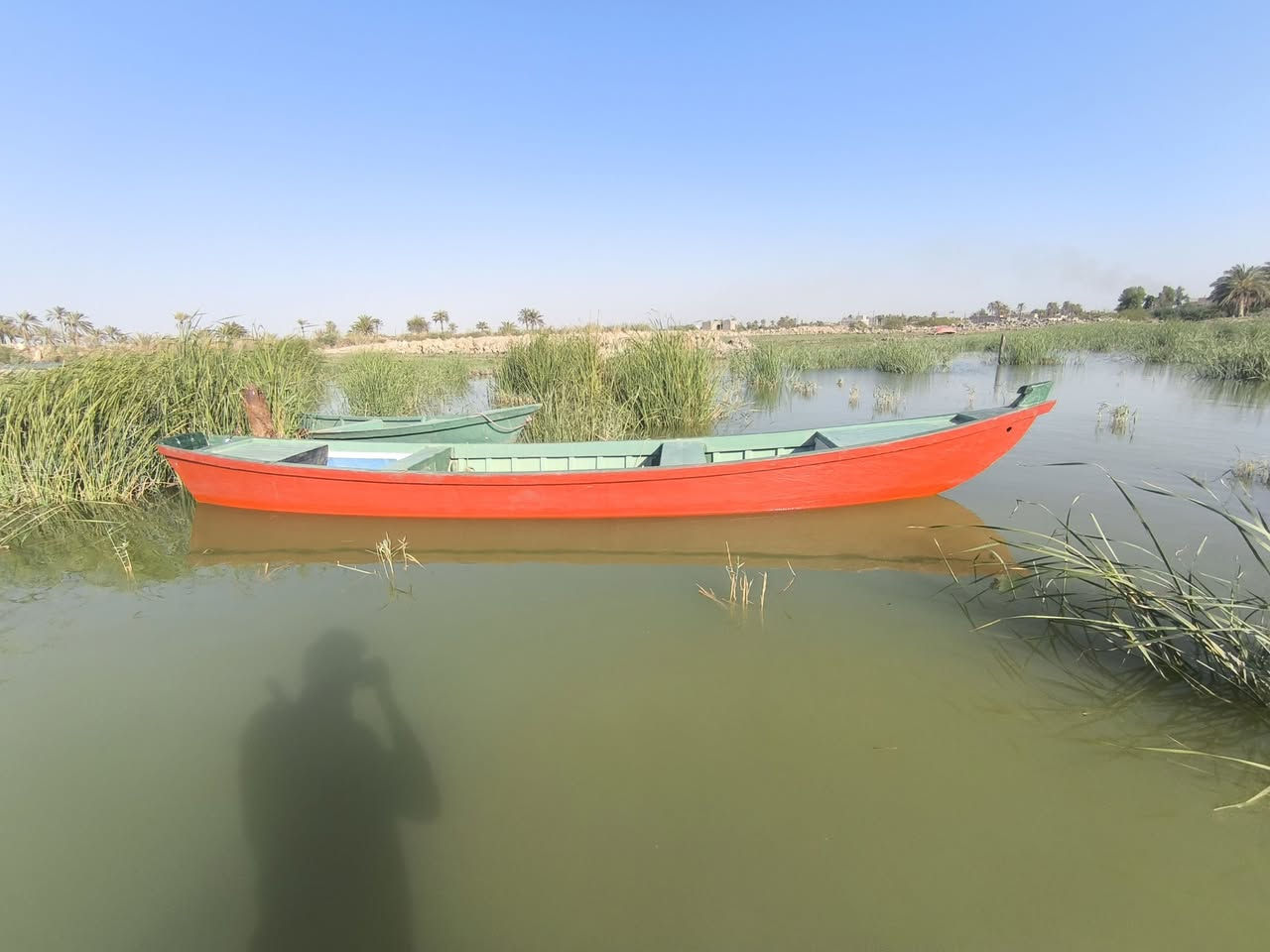 بلم • ١٢ ضراع • وارد