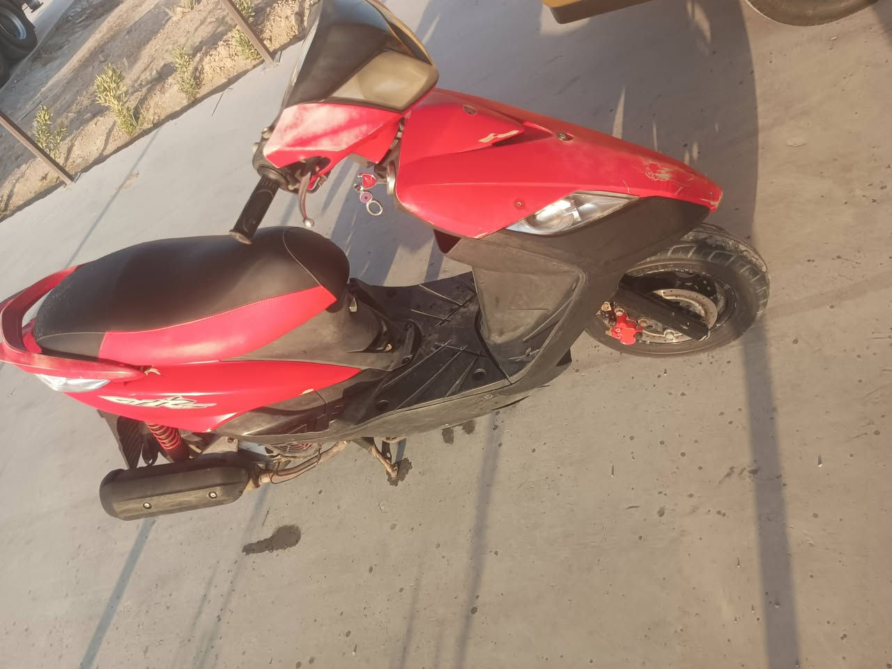 ثعلب ساله شهر من نازله من رنبه
سعر 850 بغداد ***********
