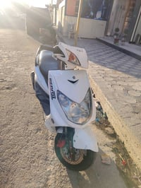 سكنس فحل • كايمة • ما بيها دخان
