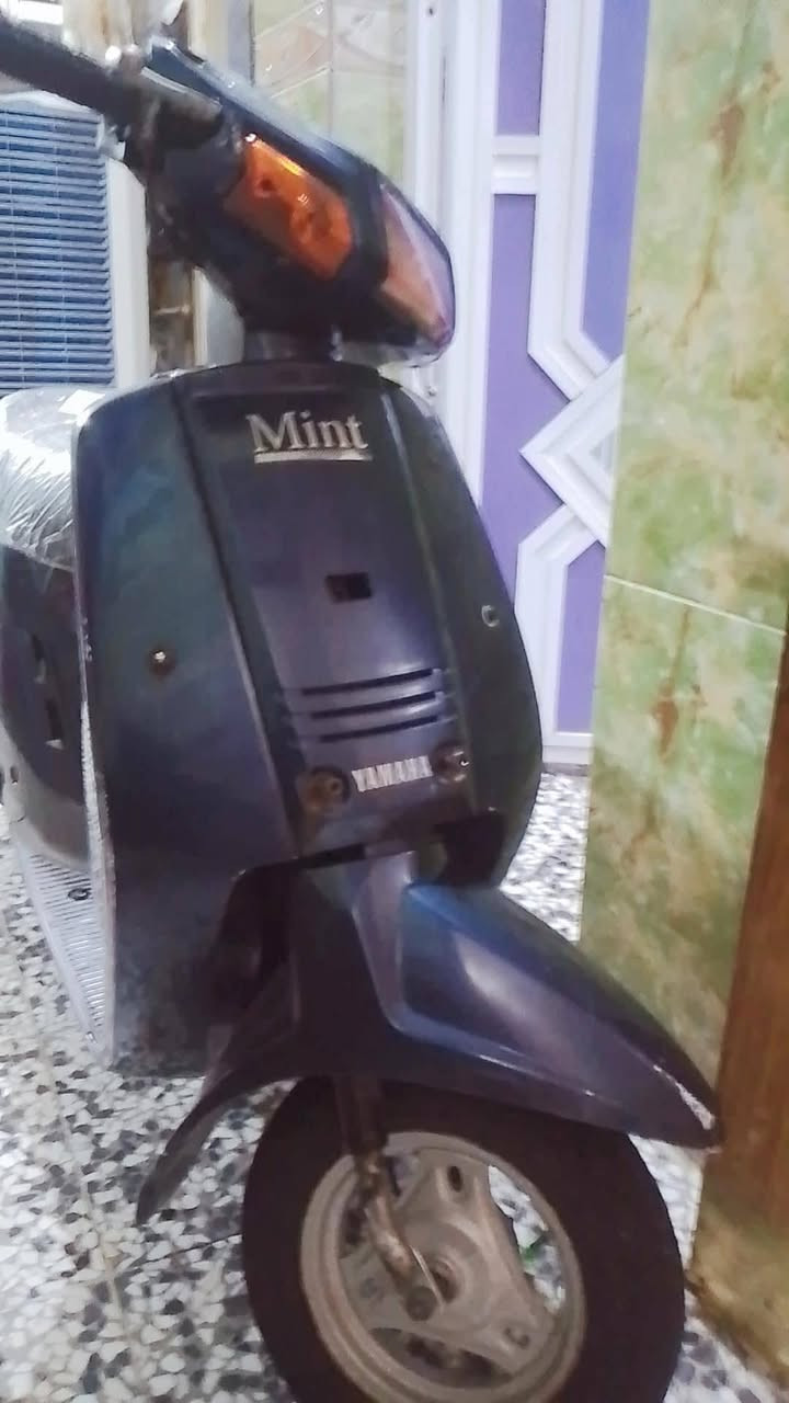 سلف هندر • جديدة • مكفوله