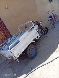 ستوته • حله • للبيع