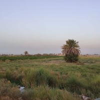 ١١٫٥+٣٫٥ • طابو مستقل • بغداد