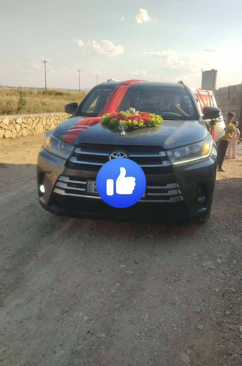هايلندر • موديل ٢٠١٩