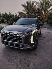 2024 Hyundai Palisade Calligraphy  صور الحادث + صورة السيارة داخل المن...