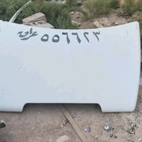 اكتروس • زعانف • بصره