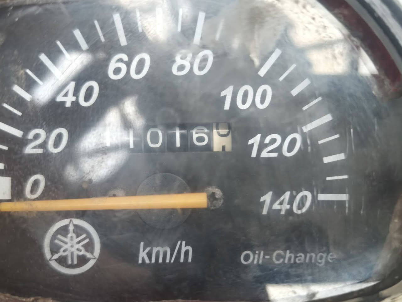 سكنس نثيه • ١٤٠ • ١٠٠٠٠