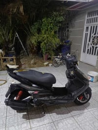 سكنس فحل • نوزل خطين • معدل قوي