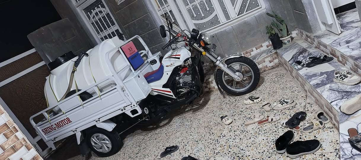 دولفين • ٢٠٠ • ٢٠٢٥