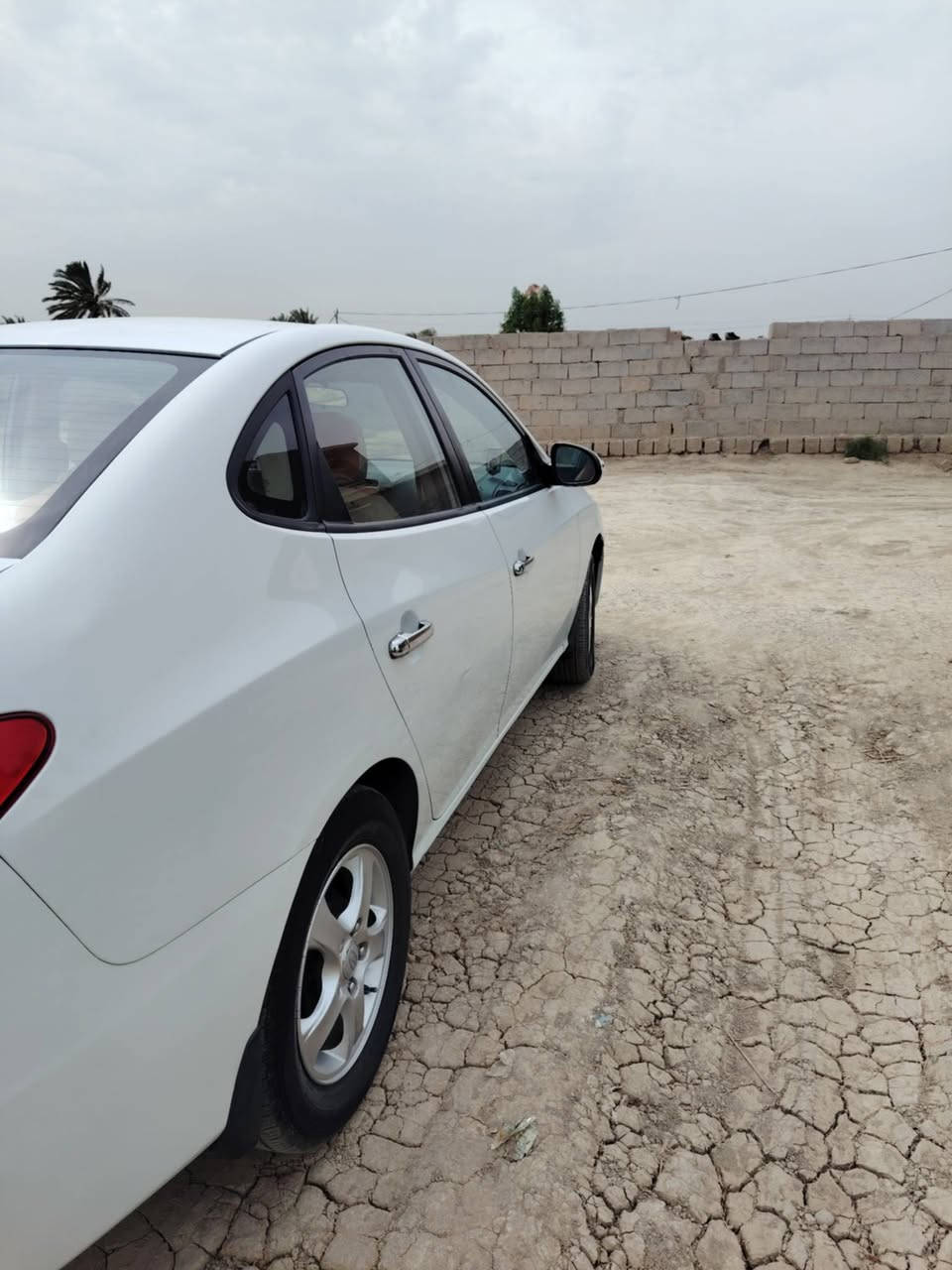 النترا • ٢٠١١ • بابل جبله