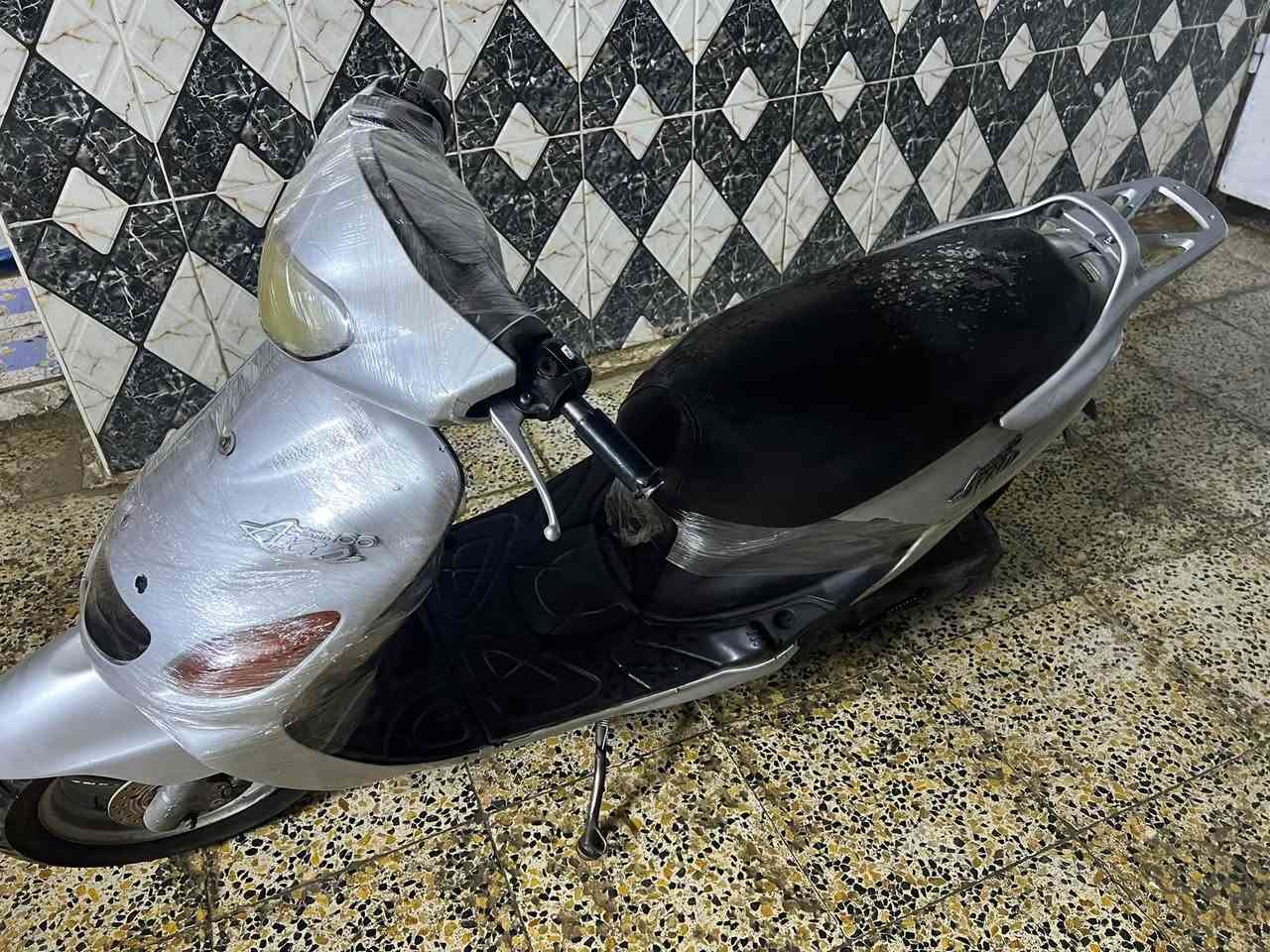 دولفين اكزز • شغال • مجال