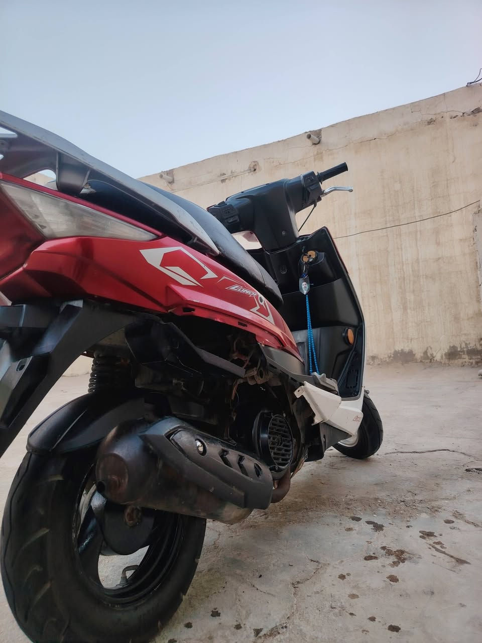 دراجه gtr للبيع دراجه خير من الله باتري جديد كابريته جديد مكاني حيدريه رقمي مابي وتساب متواجد عل فيس *********** للتفاصيل السعر خاص إلي مو شراي يطلع كبل السعر خاص وقابل للمراوس وانطي فرق فراشه بوليسي
