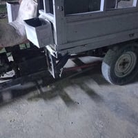 ستوته • كلك • بدون أوراق