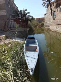 جينكوا ثيبر • ١٥ذراع • البصره ابو الخصيب