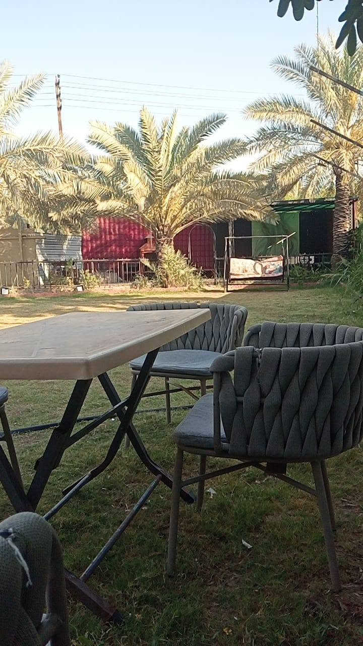 السلام عليكم مزارع أجور يومي في الدوره البوعيثه شفت المسائي ٢٥٠ وشفت الصباحي ١٥٠ التواصل على الخاص
