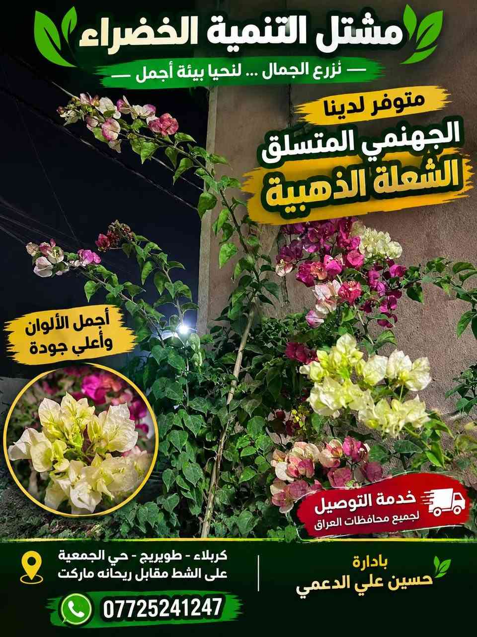 لا توجد تفاصيل

نص مكتوب في الصور:
- مشتل التنمية الخضراء متوفر الآن الجهنمي المتسلق الشعلة الذهبية أزهار غزيرة وجذابة مناسب للتسلق والحدائق ألوان مميزة وجمال يدوم خدمة التوصيل متوفرة كربلاء - طويريج - حي الجمعية - على الشط مقابل ريحانه ماركت بادارة حسين علي الدعمي
- مشتل التنمية الخضراء متوفر الآن الجهنمي الشجري الإيطالي نبات زينة مميز بأزهاره الجميلة وألوانه الزاهية ويتحمل الأجواء الحارة مناسب للحدائق والمنازل والاستراحات. خدمة التوصيل متوفرة للحجز والاستفسار *********** كربلاء - طويريج - حي الجمعية على الشط - مقابل ريحانة ماركت بإدارة حسين علي الدعمي
- مشاتل التنمية الخضراء نُزرع الجمال ... لنحيا بيئة أجمل متوفر لدينا الجهنمي المتسلق الشعلة الذهبية أجمل الألوان وأعلي جودة خدمة التوصيل لجميع محافظات العراق بادارة حسين علي الدعمي كربلاء - طويريج - حي الجمعية على الشط مقابل ريحانه ماركت ***********