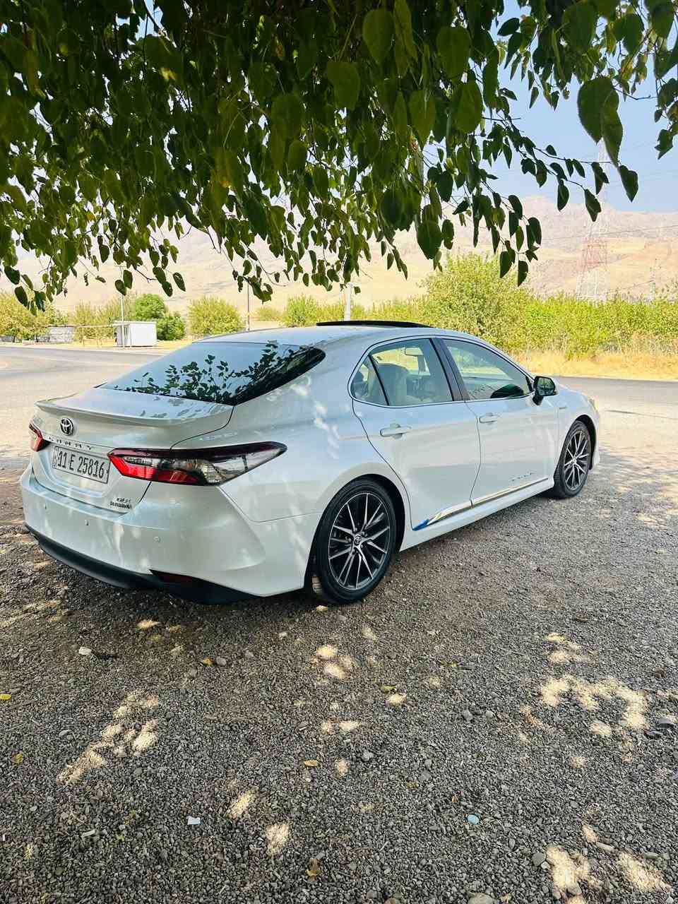 2024 gle عبداللطيف
ماشيه ٣٨
مكفوله 
مكانها ديوانيه 
238$
*********** واتساب
