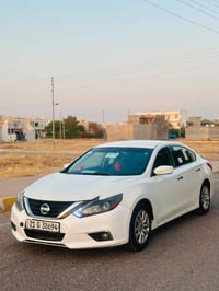 التيما • ٢٠١٦ • وارد امريكي