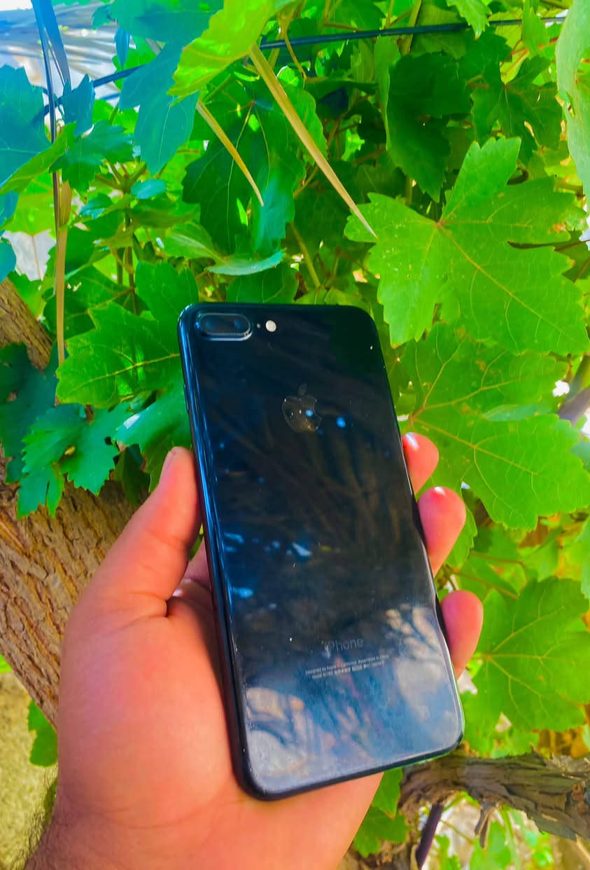 #متاح هاتف مستخدم 💥
#Iphone 7بلاص 

الذاكرة:128 GB

البطارية:70%ضمان شحن

جهاز بلادي ماداخل صيانه فقط فطور الي بل الشاشه ولا ماثره ع لمس ابد لمسه كلش حلو ❤️😍

جهاز مال جنيه فول 😍❤️

#السعر :65الف فقط  😍💗

يرهم بيع ويرهم مراوس باي جهاز عندك💗

#يتوفر -خدمه توصيل 🚚 لجميع محافظات 

العراق -او داخل منطقه💗

#لتواصل معنا 

واتساب / ***********

الانستا/su_u_l
